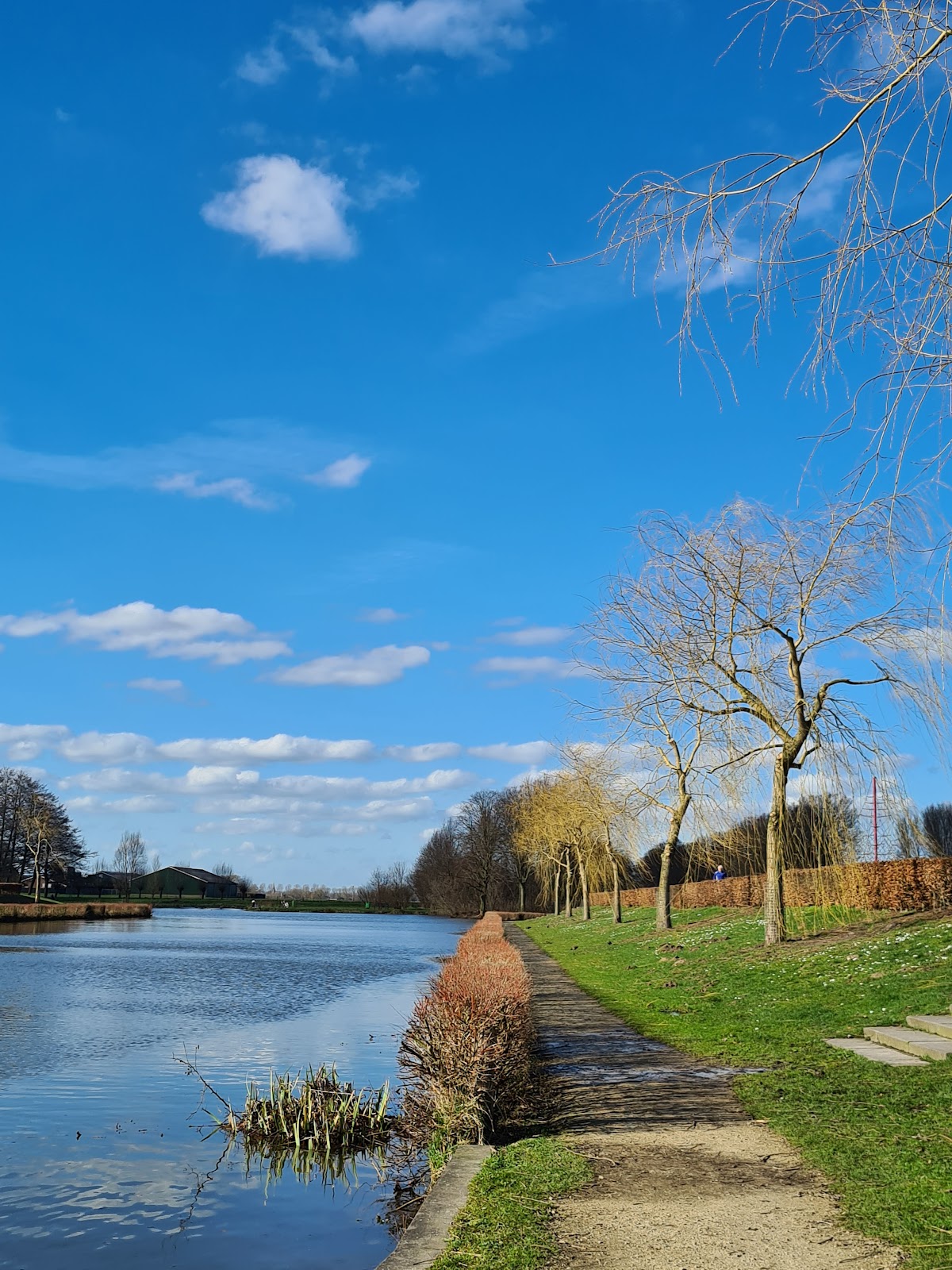 Mikkeldonk Park in Oss — vijver en natuur