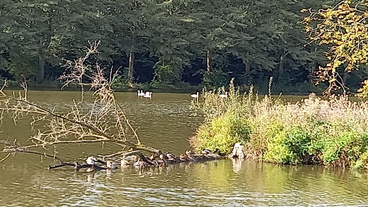 Wandelpad Mikkeldonk